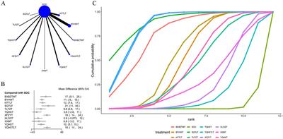 Efficacy of different traditional Chinese medicine decoctions in the treatment of ischemic stroke: a network meta-analysis